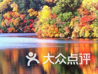 用户摆第一！阿维塔联合华为以“行业最高补贴”回馈新车主