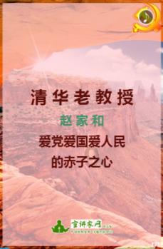 有趣的动物拼图